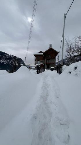 rigzin house by meghsparsh resorts