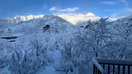 rigzin house by meghsparsh resorts