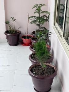 Himalayan Wellness Retreats,,3 star