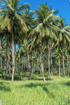 green heaven bungalows