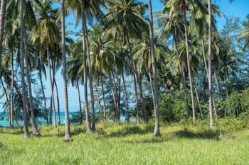 green heaven bungalows