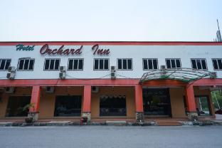 lumut
