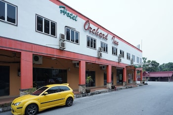lumut