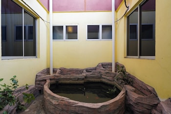 lumut