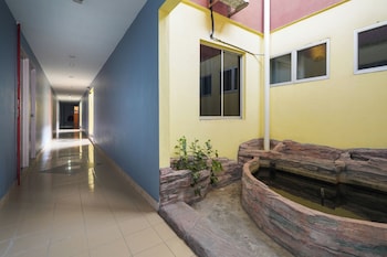 lumut