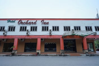 lumut