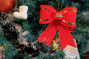 suan pa khao lom homestay