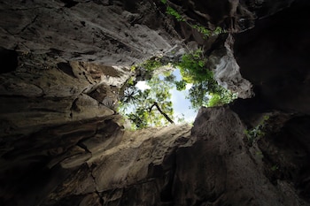 suan pa khao lom homestay