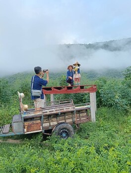 suan pa khao lom homestay