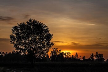 suan pa khao lom homestay