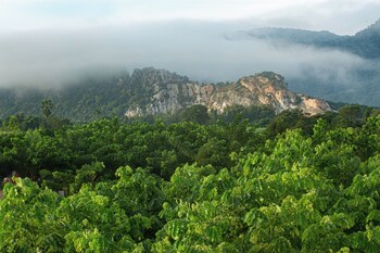 suan pa khao lom homestay