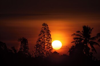 suan pa khao lom homestay