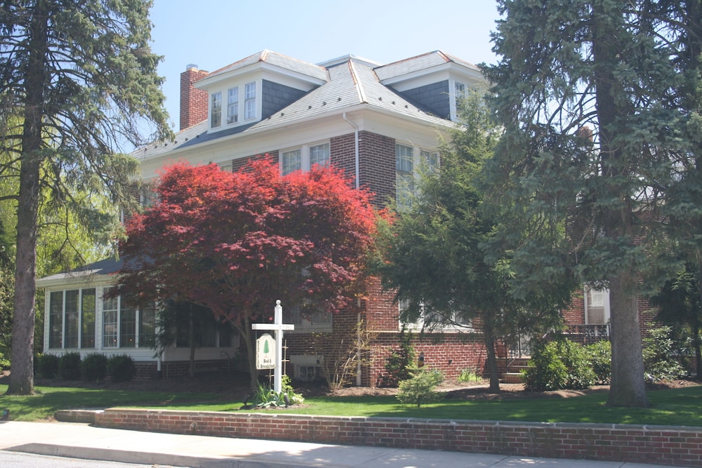 red lion bed and breakfast