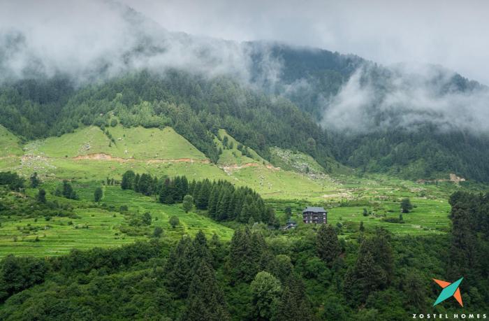 zostel homes rajgundha