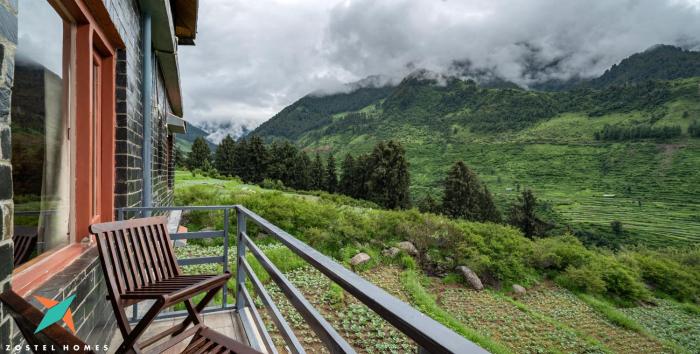 zostel homes rajgundha