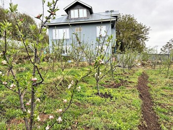 tavisha river view orchard pahalgam