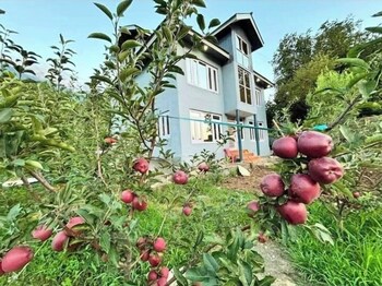 tavisha river view orchard pahalgam