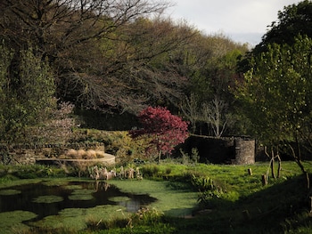 ivybridge