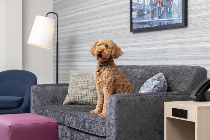 home2 suites by hilton kittery