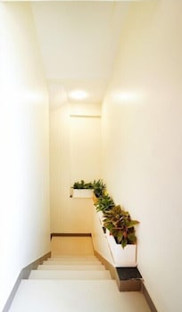 rukman hotels jaipur