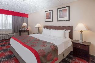 albany plaza hotel