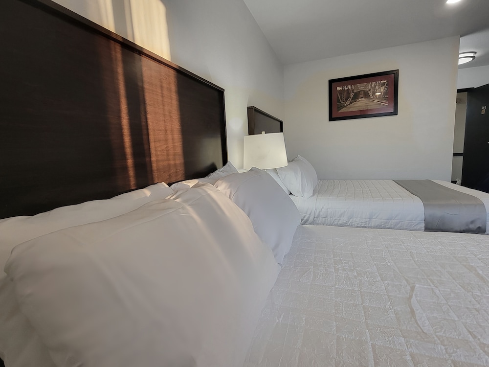 the suite inn