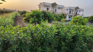 gir rajwadi farm and resort