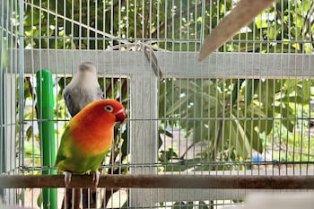 krabi