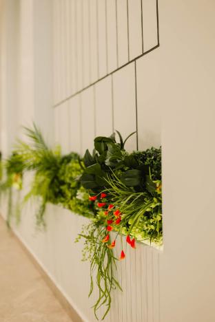 hiive by convivial hotels