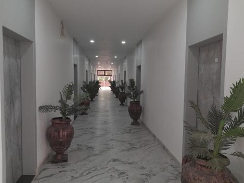 hotel aura bikaner