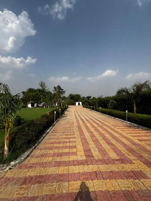 fillow casa aravalli