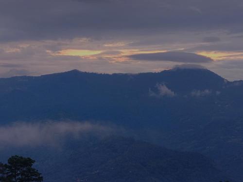 The Pines' Heaven,,2 star