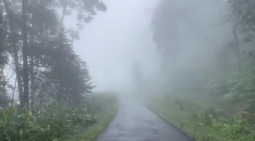 The Pines' Heaven,,2 star