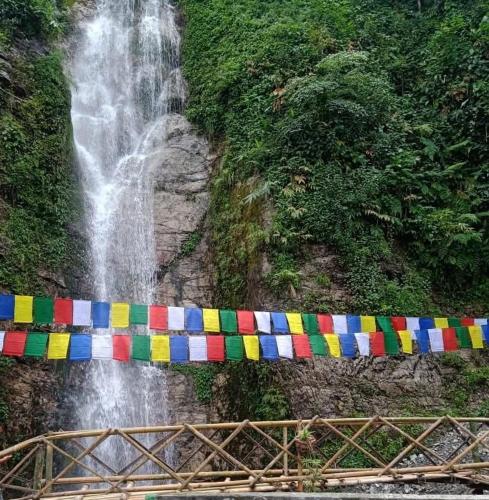 The Pines' Heaven,,2 star