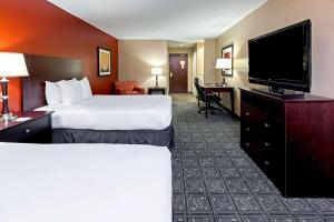 comfort inn and suites irving las colinas dfw