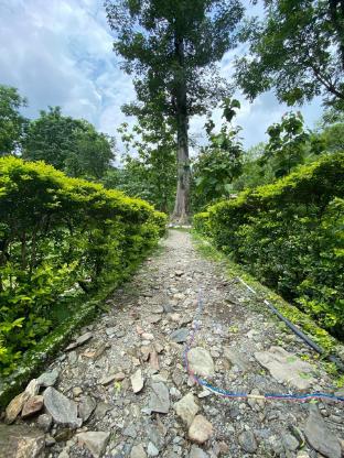 the harikanta corbett resort