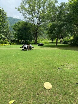 the harikanta corbett resort