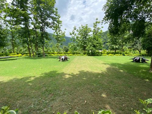 the harikanta corbett resort