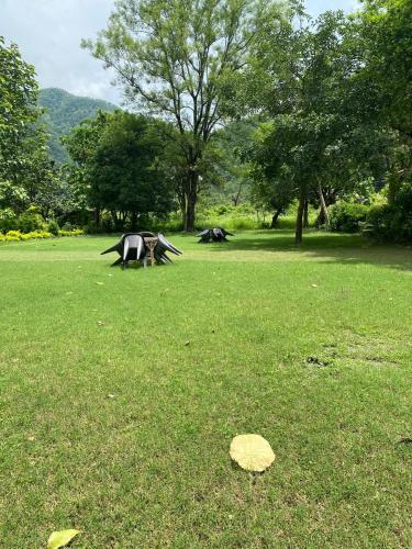 the harikanta corbett resort