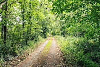 Idyllic Countryside Cottage,,2 star