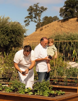 appellation healdsburg