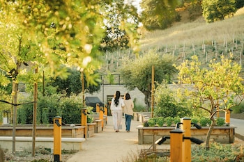 appellation healdsburg