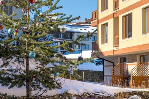 bansko