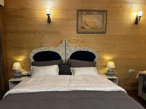 badri resort mana badrinath