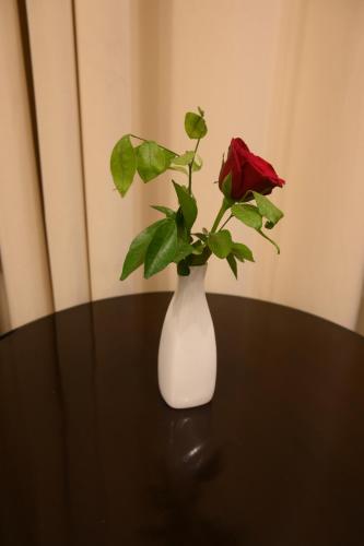hotel kashi crown