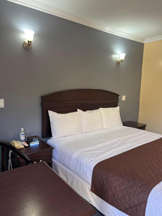 carlton motor lodge