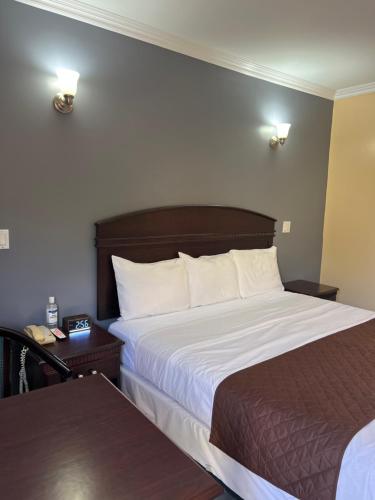 carlton motor lodge