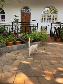 anjuna