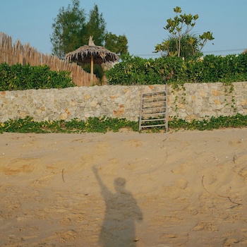 demi iii demi the third