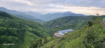 chakrata hills resort